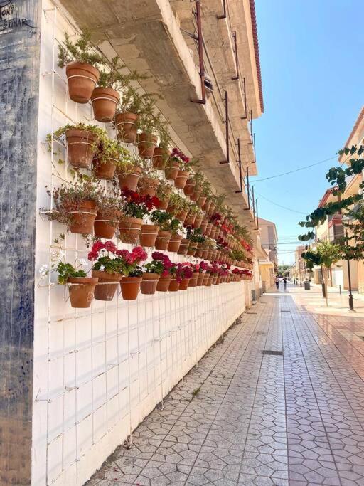 Casa Naranja Βίλα Los Alcázares Εξωτερικό φωτογραφία